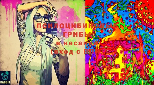 кокс Армянск