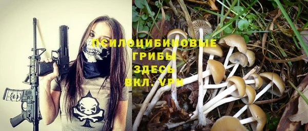 кокс Армянск