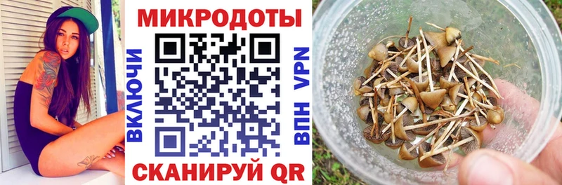 Псилоцибиновые грибы прущие грибы Барыш